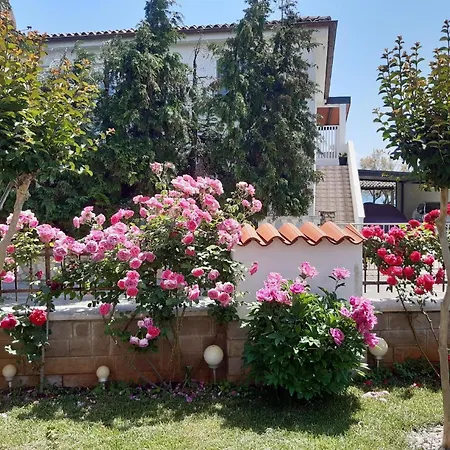 Fuer 4 Personen Ca 56 Qm In Novigrad, Istrien Istrische Riviera *